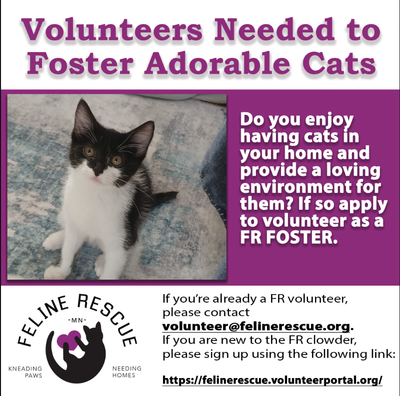 Wintry Mountain Landscape